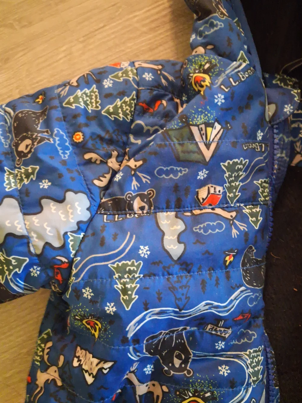 L.L. Bean Blue Kids' Hooded Puffer Jacket with Outdoor Print